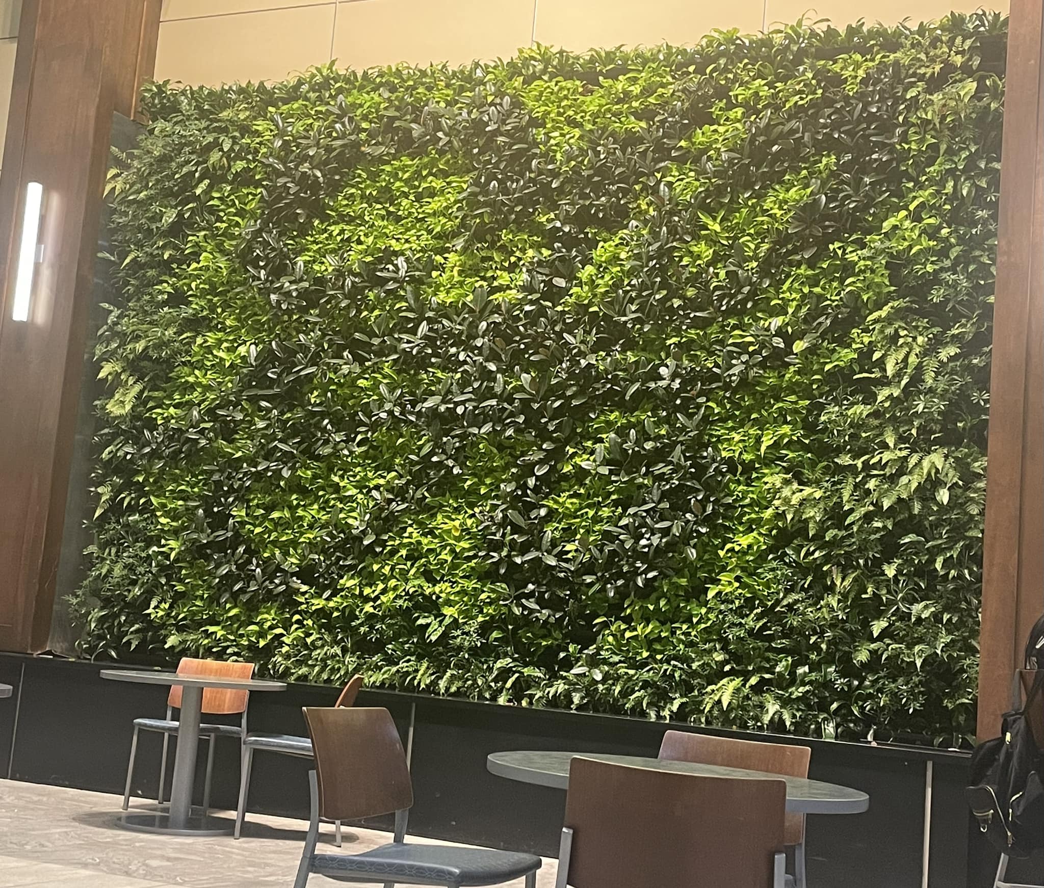 Living Wall